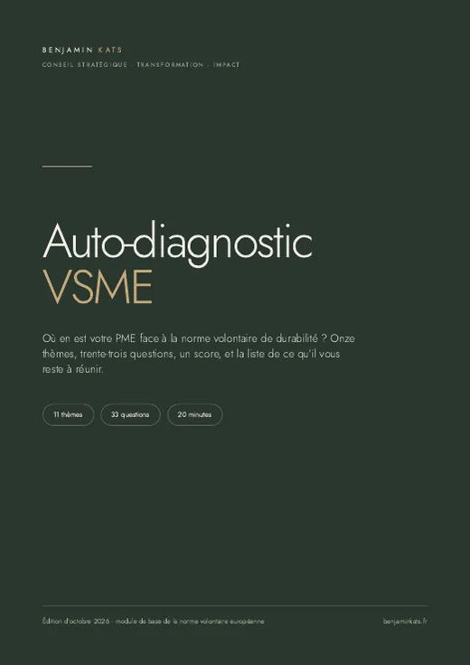 Couverture du guide Auto-diagnostic VSME